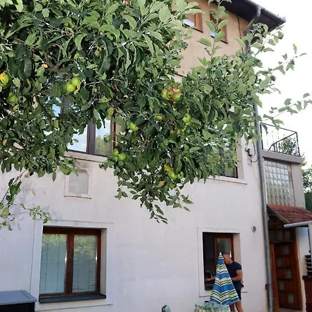 Rijad Saraybosna