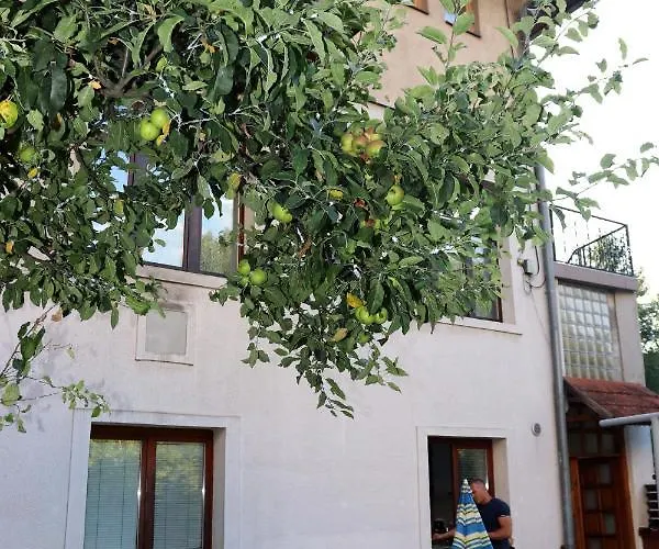 Rijad סראייבו